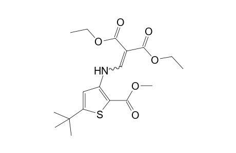 5-tert-butyl-[(2,2-dicarboxyvinyl)amino]-2-thiophenecarboxylic acid, 3,3-diethyl 2-methyl ester