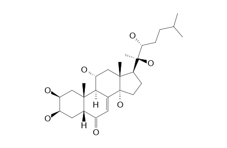 AJUGASTERONE-C