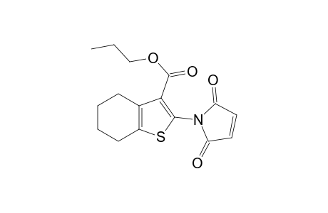 propyl 2-(2,5-dioxo-2,5-dihydro-1H-pyrrol-1-yl)-4,5,6,7-tetrahydro-1-benzothiophene-3-carboxylate