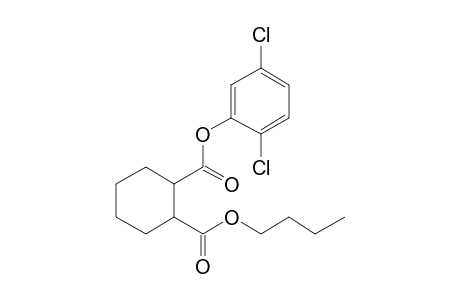 1,2-Cyclohexanedicarboxylic acid, butyl 2,5-dichlorophenyl ester