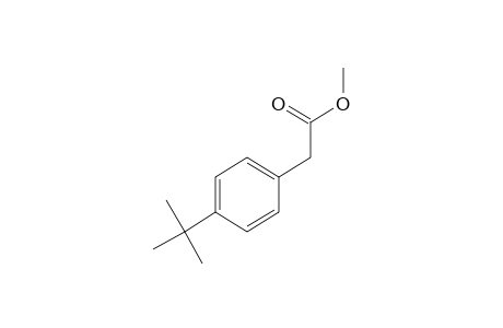 Methyl (4-tert-butylphenyl)acetate