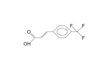 trans-4-(Trifluoromethyl)cinnamic acid