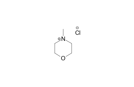 4-Methyl-morpholine-hydrochloride