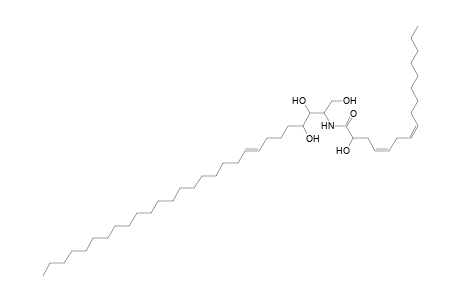 Cer 28:1;3O/16:2;(2OH)