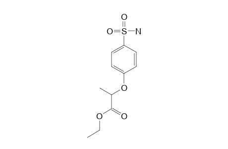2-(p-sulfamoylphenoxy)propionic acid, ethyl ester