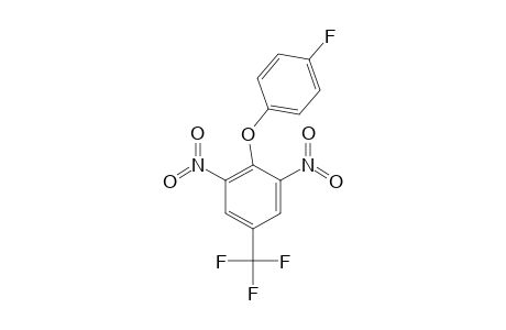 2,6-dinitro-alpha,alpha,alpha-trifluoro-p-tolyl p-fluorophneyl ether