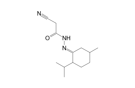 CYANOACETIC ACID, (2-ISOPROPYL-5-METHYLCYCLOHEXYLIDENE)HYDRAZIDE