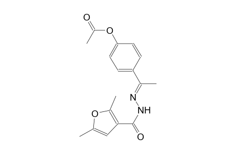 4-[(1E)-N-(2,5-dimethyl-3-furoyl)ethanehydrazonoyl]phenyl acetate