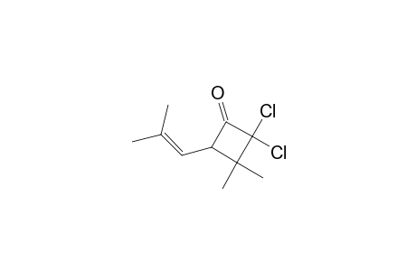 Cyclobutanone, 2,2-dichloro-3,3-dimethyl-4-(2-methyl-1-propenyl)-