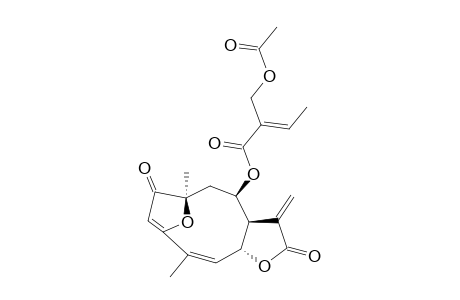 11(13)-EN-ATRIPLICIOLIDE-8-O-(5-ACETOXYTIGLATE)