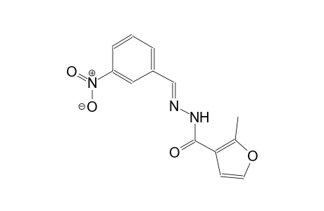 2-methyl-N'-[(E)-(3-nitrophenyl)methylidene]-3-furohydrazide