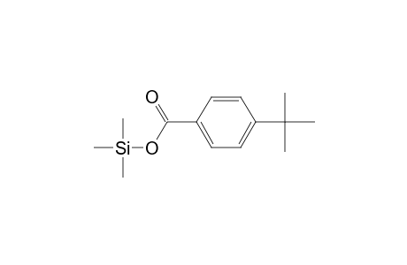 4-tert-Butylbenzoic acid TMS