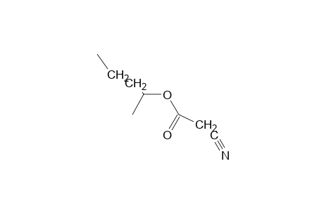 cyanoacetic acid, 1-methylbutyl ester