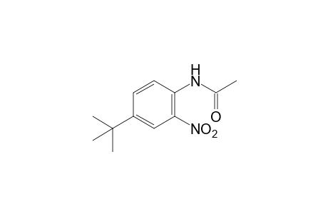 4'-tert-butyl-2'-nitroacetanilide