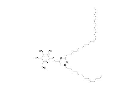 MGDG O-13:1_21:1