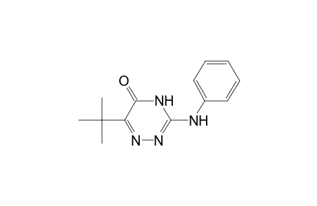 3-Anilino-6-tert-butyl-2H-1,2,4-triazin-5-one