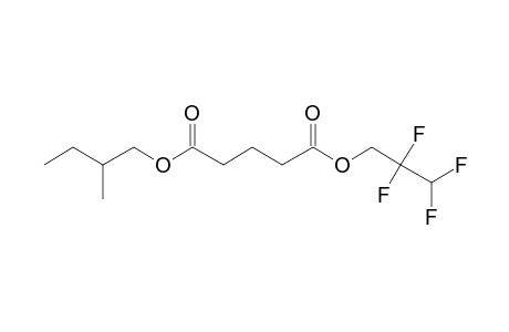 Glutaric acid, 2,2,3,3-tetrafluoropropyl 2-methylbutyl ester