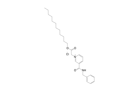 3-(BENZYLCARBAMOYL)-1-(CARBOXYMETHYL)PYRIDINIUM CHLORIDE, DODECYL ESTER