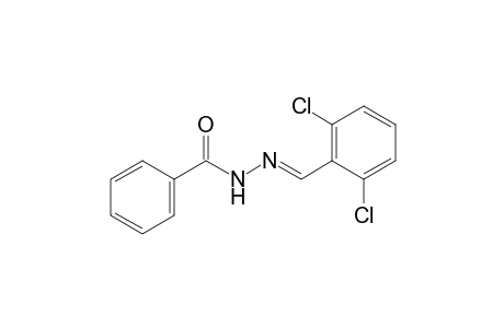 benzoic acid, (2,6-dichlorobenzylidene)hydrazide