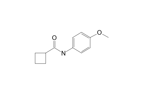 Cyclobutanecarboxamide, N-(4-methoxyphenyl)-