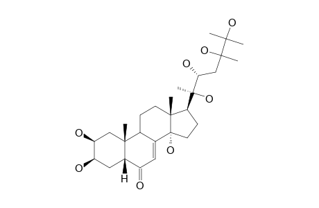 25-HYDROXYPANUOSTERONE;2-BETA,3-BETA,14-ALPHA,20R,22R,24-XI,25-HEPTAHYDROXY-5-BETA-ERGOST-7-EN-6-ONE