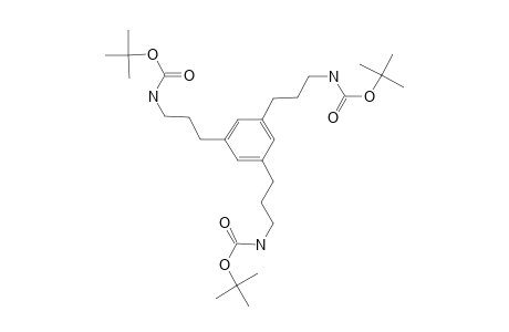 N-[3-[3,5-bis[3-(tert-butoxycarbonylamino)propyl]phenyl]propyl]carbamic acid tert-butyl ester