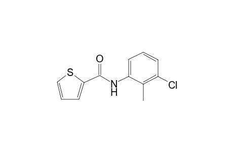 2-thiophenecarboxamide, N-(3-chloro-2-methylphenyl)-