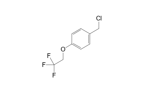 1-(chloromethyl)-4-(2,2,2-trifluoroethoxy)benzene