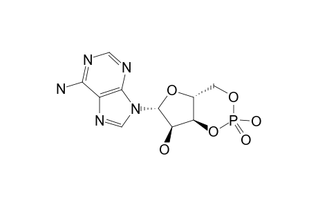 cyclic AMP