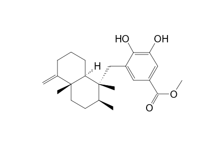 3-[[(1R,2S,4aS,8aS)-1,2,4a-trimethyl-5-methylene-3,4,6,7,8,8a-hexahydro-2H-naphthalen-1-yl]methyl]-4,5-dihydroxybenzoic acid methyl ester