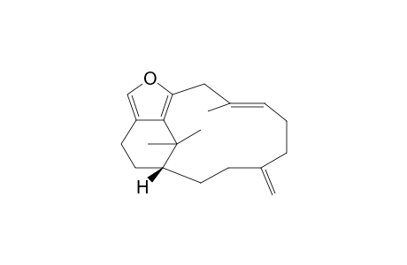 Cespitularin B