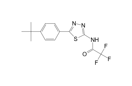 N-[5-(4-tert-butylphenyl)-1,3,4-thiadiazol-2-yl]-2,2,2-trifluoroacetamide