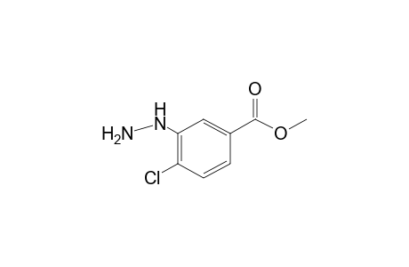 4-chloro-3-hydrazinobenzoic acid, methyl ester