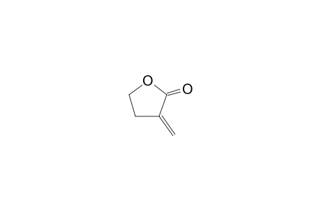 3-Methylenedihydro-2(3H)-furanone