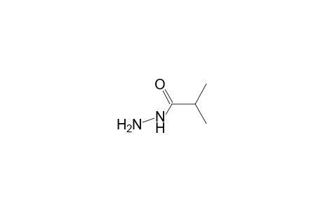 Isobutyric-acid, hydrazide