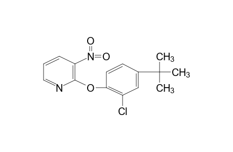 2-(4-tert-butyl-2-chlorophenoxy)-3-nitropyridine