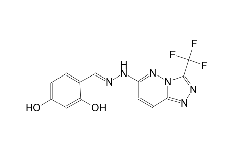 2,4-dihydroxybenzaldehyde [3-(trifluoromethyl)[1,2,4]triazolo[4,3-b]pyridazin-6-yl]hydrazone