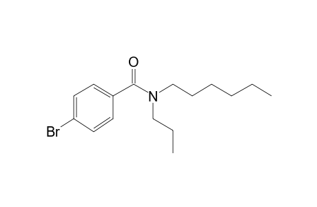 Benzamide, 4-bromo-N-propyl-N-hexyl-