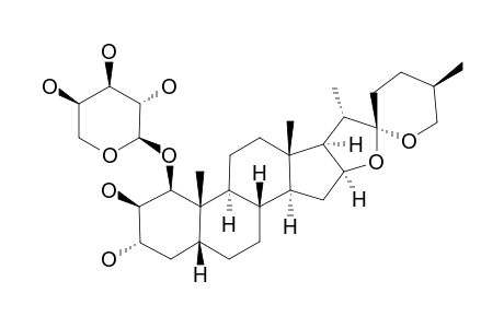 NEOTOKORONIN