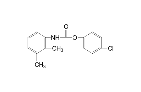 2,3-dimethylcarbanilic acid, p-chlorophenyl ester