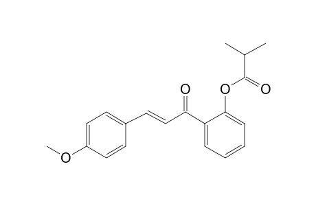 2'-Hydroxy-4-methoxychalcone, 2-methylpropionate