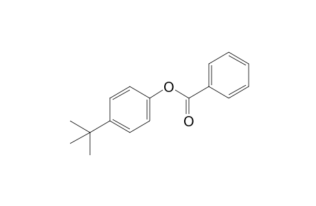 p-tert-BUTYLPHENOL, BENZOATE