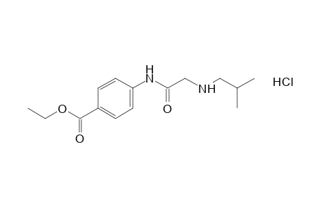 p-[(2-isobutylamino)acetamido]benzoic acid, ethyl ester, hydrochloride