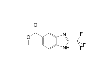 1H-Benzoimidazole-5-carboxylic acid, 2-trifluoromethyl-, methyl ester