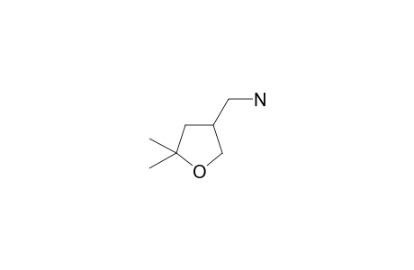 (5,5-Dimethyloxolan-3-yl)methanamine