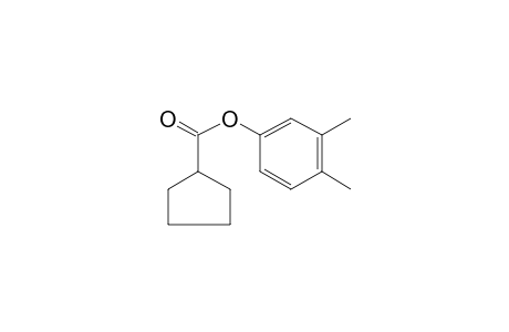 Cyclopentanecarboxylic acid,3,4-dimethylphenyl ester