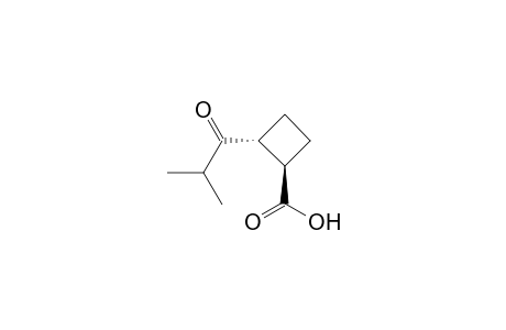 (1R,2R)-2-isobutyrylcyclobutanecarboxylic acid