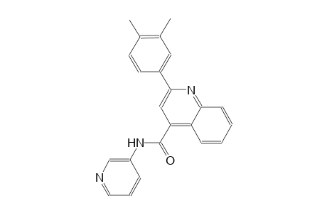 2-(3,4-dimethylphenyl)-N-(3-pyridinyl)-4-quinolinecarboxamide