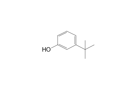 3-Tert-butylphenol