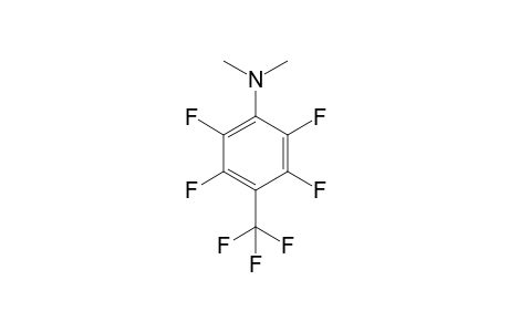 2,3,5,6-tetrafluoro-N,N-dimethyl-4-(trifluoromethyl)aniline